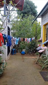 28K views · 263 reactions | Es chow es Arte.藍藍藍 | Alcivia Sabana | Facebook