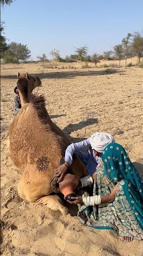 الأخ يمارس الجنس مع أخته المجنونة من الخلف باستخدام الألعاب رغماً عنها