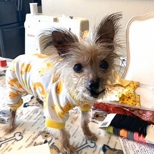 4.3K views · 272 reactions | Special Promotion Today 4/19/20 and...