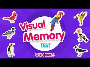 Visual Memory Test for Kids! | Can you solve all the questions? | Birds Quiz