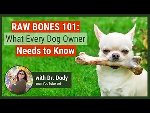 Tips for Safely Feeding Your Dog Raw Bones
