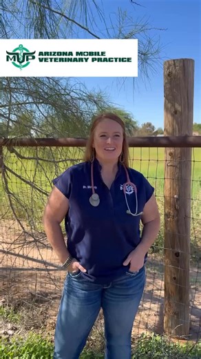 Dr. Shively on biosecurity and the importance of annual exams 🐴🐮🐷 Have you called AZMVP to get your herd scheduled? Arizona Mobile Veterinary Practice ☎️ 480-707-2214 Serving the Queen Creek area & beyond 🔗 arizonamobilevet.com #biosecurity #VCPR #ArizonaMobileVet | Arizona Mobile Vet