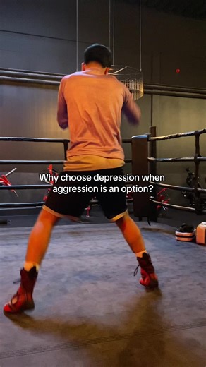 Exploring Depression and Aggression in Boxing