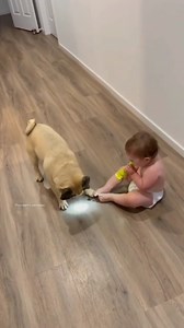 258K views · 10K reactions | I can't tell who's having more fun  (@goodnews_movement) | Pee-wee Herman | Facebook