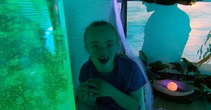 Sensory Bus makes large community events accessible for neurodivergent people