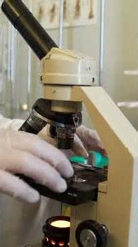 Why Chemtrail Evidence Is Actually Proof They're Wrong