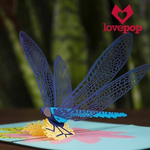 700 reactions · 145 shares | Lovepops are the perfect addition to any museum gift shop! With over 200 designs we have cards your customers will love. Want to learn more about how your museum can carry Lovepop? | Lovepop Cards | Facebook