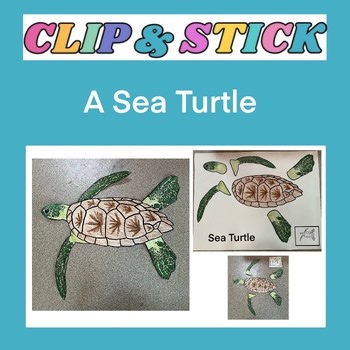 Cut and Paste Sea Turtle Coloring Fine Motor Art Craft Page