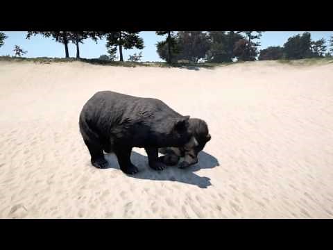 Far cry 4 Animal Fights PS4