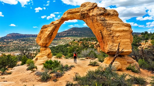 A natural canyon arch standing in the middle of the desert