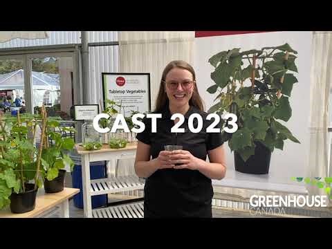 CAST 2023: Quick Snack Cucumber