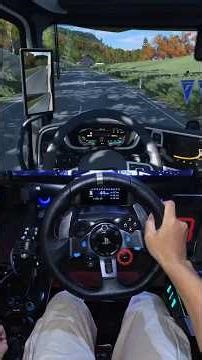 POV Driver DAF NGD | Early Autumn | Euro Truck Siulator 2 | Logitech G29 + Shifter