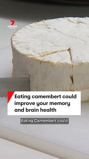 Eating camembert could improve your memory and brain health as you age, according to a new study. #cheese #cheeses #cheeselover #softcheese #camembert #memory #brain #health #ageing #science #neuroscience #7NEWS | 7NEWS Sydney