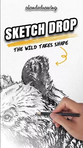 Sketch Drop | Brown Bear Pencil Drawing Teaser
