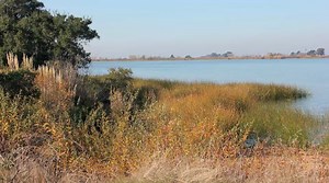 Human Population Growth and Extinction