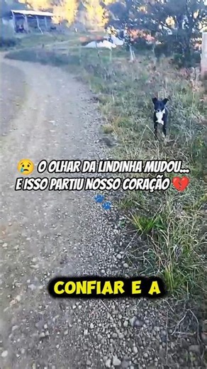 😢 LINDINHA'S LOOK HAS CHANGED... AND IT BROKE OUR HEARTS 💔🐾