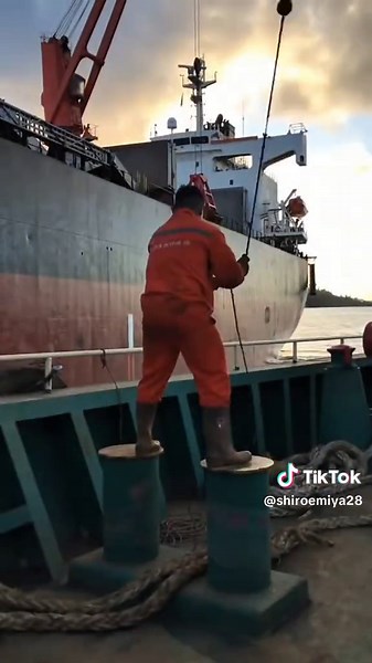 Why Choose Marine Transportation as Your Course?