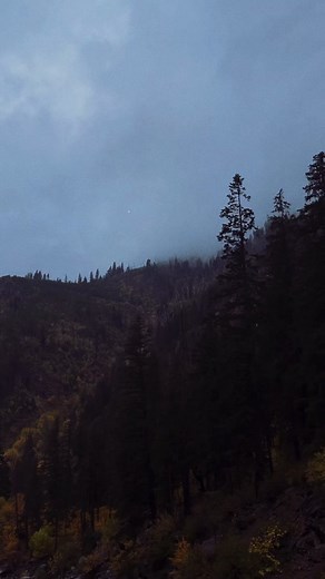 Exploring Forks, Washington: The Perfect Place to Live