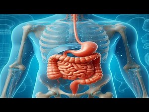 Peritoneal Carcinomatosis The Silent Spread of Cancer – What You Need to Know 💛