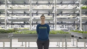 This High-Tech Farmer Grows Kale in a Factory | Haystack News