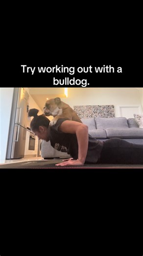 Working Out with a Bulldog: A Fun Experience