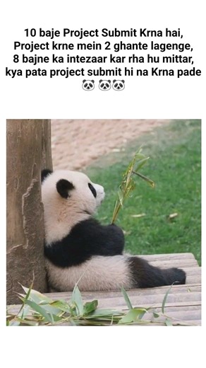 Project deadline #funny #viral #funnymemes #memes#memesdaily #comedy #shorts #viralmemes