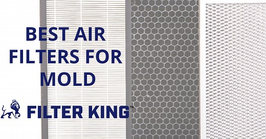 Best Air Filters for Mold and Air Purification [2021]