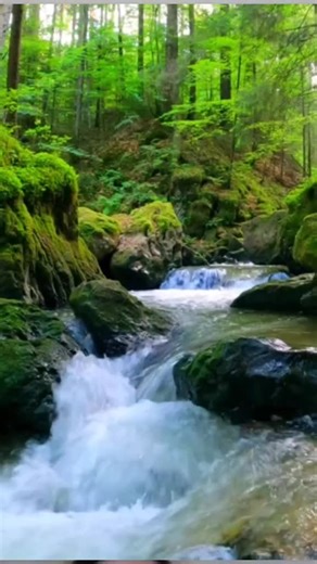 🥰♥️ it's me Lovelyson ♥️🥰 (@143lovelyson)’s videos with original sound - Lovelyson🇲🇾🇵🇭❤ - 🥰♥️ it's me Lovelyson ♥️🥰