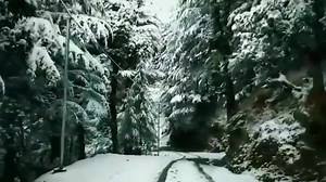 Queen of Hills ❤🗻 Shimla ❤ | Himachal pixels