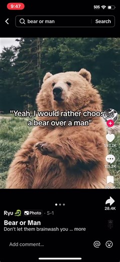 Bear vs. Man: A Unique Perspective on Nature