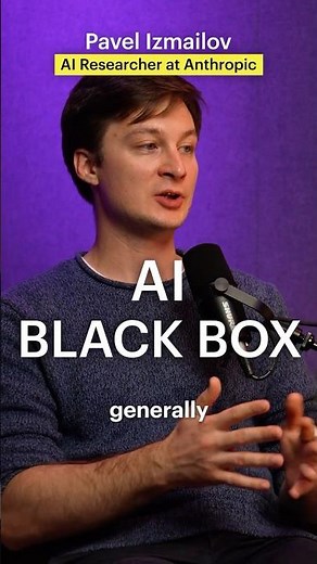 The Black Box- Mechanistic Interpretability #ai #podcast