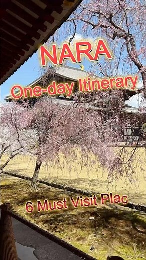 NARA🦌 One-day Itinerary ~Introducing 6 Must Visit Places! #traveljapan