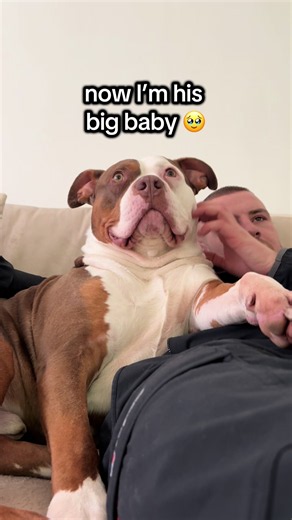 Daddy’s Baby Grows Up: From Tiny Pup to Big Baby