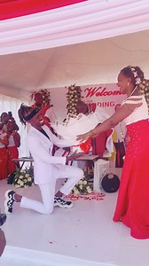 46K views · 1.6K reactions | Maasai traditional wedding surprise,BOOKINGS: +254798713518 her friend sent me all the way to Maasai land to congratulate her on her wedding, she was super excited | Trevor Silaz | Facebook
