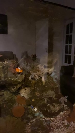 David Potts (@davidpotts4)’s videos with original sound - David Potts