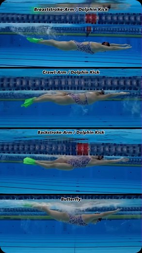 Working on building a stronger Dolphin kick with better timing? 💧 Check out this drill where you can incorporate your Dolphin kick into different strokes 🔥 This is a valuable drill because it helps focus on the timing with the arm stroke as well as applies more focus to the legs so you can get stronger 💙 📸: @yy___yamazaki • • • • • #swimming #swim #swimmer #swimmingpool #triathlon #pool #swimbikerun #triathlete #swimteam #swimmers #swimlife #swimcoach #swimsuit #swimmerslife #swimpractice #s