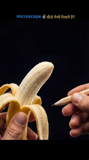 microscope में चीजे कैसी दिखती है? | amazingfacts | #shorts #ytshorts #short