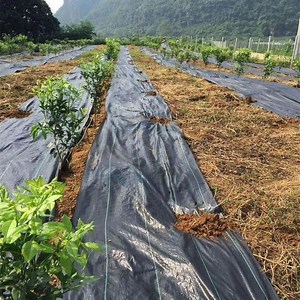 [Hot Item] Fabric Geotextile Fabric for Driveway Woven Geotextile Tarp