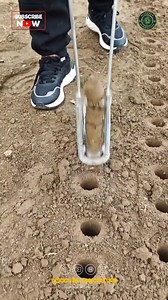 340K views · 889 reactions | Introducing the essential tool for every...