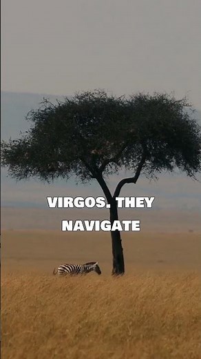 What Is a Virgo's Animal? The Meaning Behind It