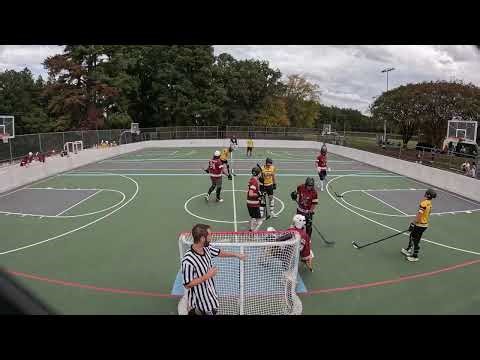 CSHL F25 Week Five: Part Four