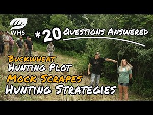 Powerful Tiny Hunting Plot, Buckwheat And Mock Scrapes | Habitat Tour 25