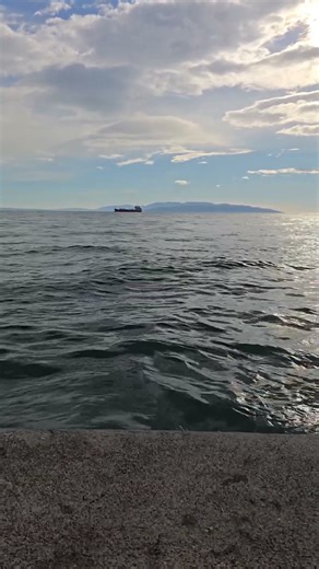 If the ocean had a heartbeat… this is it