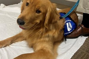 Pets at Duke | Human Resources