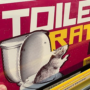 Toilet Rats Concert & Tour History (Updated for 2026) | Concert Archives