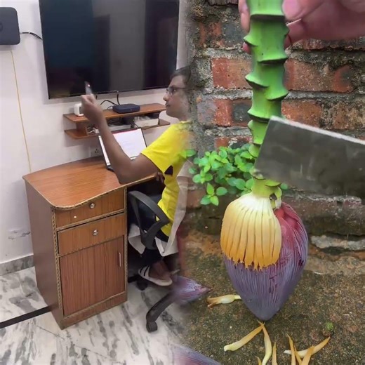 Geometry Box in 90s 🧐🤔