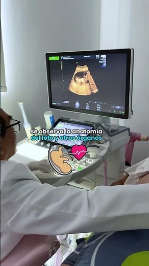 Ecografía Genética | Detección Temprana y Evaluación del Desarrollo del Bebé