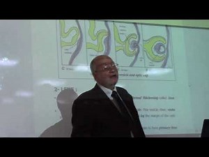 development and congenital anomalies of the eyes by Dr. Wahdan