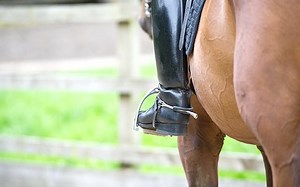 How to keep your horse in walk during a dressage test - Horse & Hound