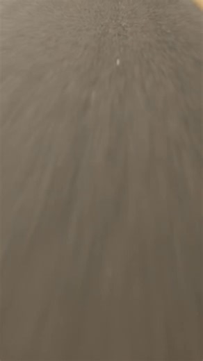 ＜待望のハーレーダビッドソン2026年ラインナップ登場＞かつてないパワーと進化した走りとともに、あなたの物語がいま動き出す。 | Harley-Davidson Japan / ハーレーダビッドソン ジャパン